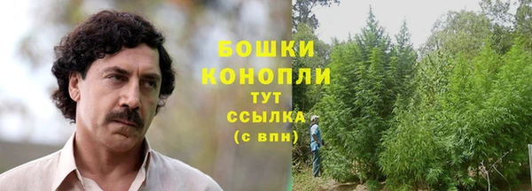дурь Белоозёрский